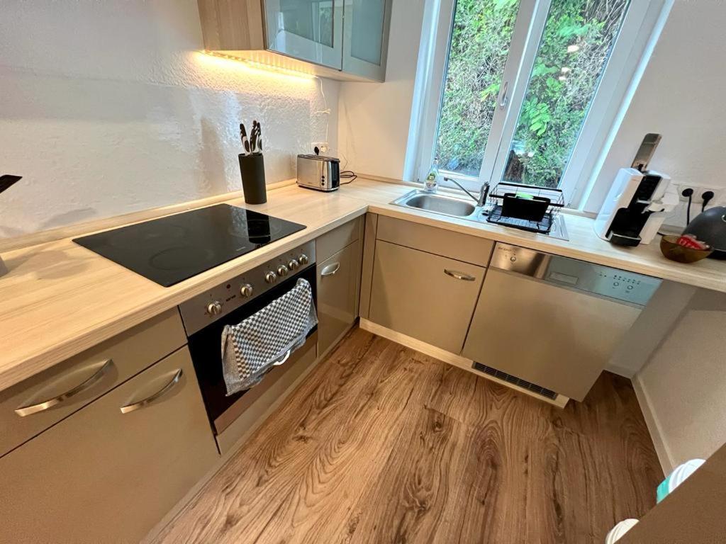 Exklusive Neubauwohnung Mit Wundervoller Aussicht Naehe Europapark Und Rulantica Burgheim 외부 사진